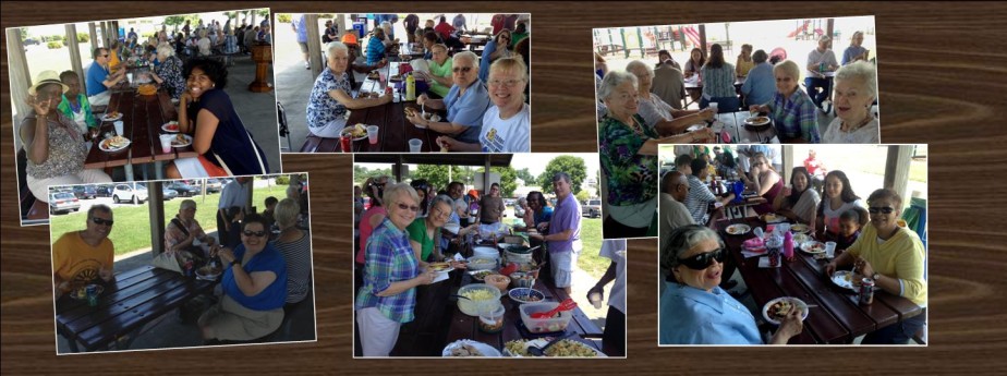 Hanover Picnic! – June 7, 2015